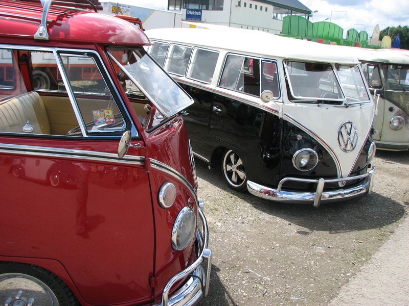 European Bug In IMG_0252